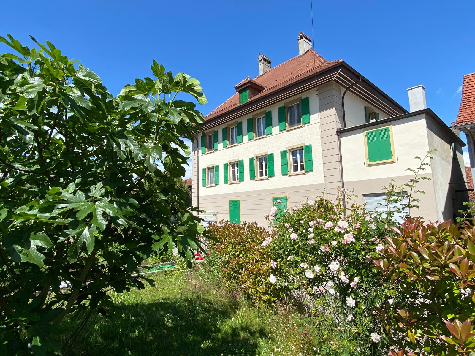 WhatsApp Image 2024-07-16 at 12.55.55